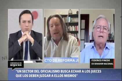 "Un sector del oficialismo busca echar a los jueces que los deben juzgar a ellos mismo", explicó Federico Pinedo