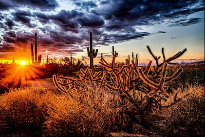 Arizona cuenta con todo tipo de actividades para disfrutar del Memorial Day en familia. Foto: Unsplash