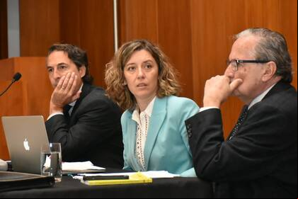 Cecilia Goyeneche, la fiscal anticorrupción de Entre Ríos que afronta un jury en su contra