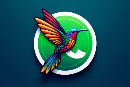 Cómo activar el "modo colibrí" de WhatsApp