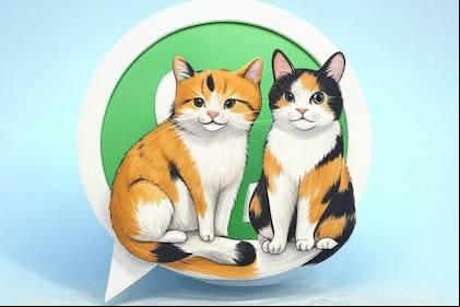 Cómo configurar el "modo gato cálico" en WhatsApp