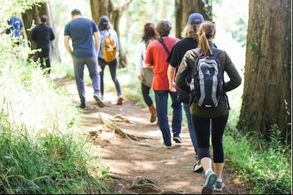 Cómo elegir entre caminar y correr