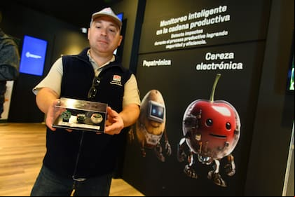 Con la cereza electrónica. Andrés Moltoni es ingeniero en electrónica y trabaja en el laboratorio de electrónica del Instituto de Ingeniería Rural del INTA de Castelar