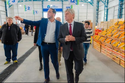 Di Napoli y Ziliotto, enfrentados en el PJ pampeano