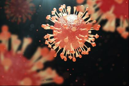 Dos investigadores argentinos desarrollaron una aplicación bioinformática que permite caracterizar los distintos tipos de influenza A y B en humanos. La herramienta ofrece más del 99% de precisión, es de libre y ya está disponible para su uso