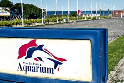 El Aquarium se sumará nuevamente a los espectáculos que Mar del Plata ofrece todos los años