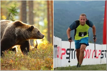 El ataque del osos sucedió en el pueblo Caldes al moreste de Italia