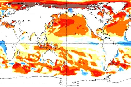 El Atlántico está muy caliente, según los expertos