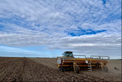 El ciclo pasado el 25% de la inversión para la siembra se solventó con capital propio y el 75% a partir de terceros