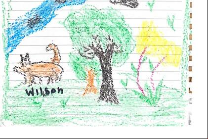 El dibujo del perro Wilson que hicieron los chicos colombianos