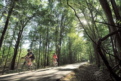 El fin de semana se prestaría para realizar actividades al aire libre