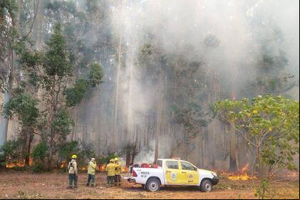 El fuego ya arrasó con 200 mil hectáreas en Corrientes