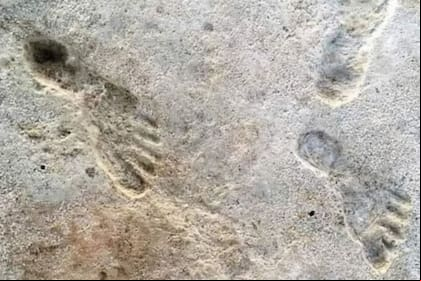 El hallazgo llama a reconsiderar parte de la historia primitiva en América (Foto: @Dr_TheHistories)