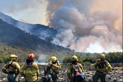 El incendio comenzó el 30 de enero pasado