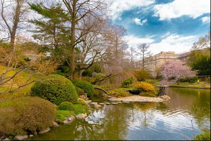 El Jardín Botánico de Brooklyn ganó notoriedad al figurar en una lista de los jardines botánicos más hermosos del mundo
