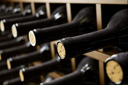 El Malbec es una variedad que ha demostrado buen potencial de guarda