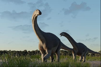 El nuevo gigante bautizado Titanomachya gimenezi