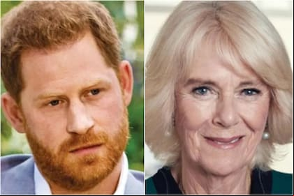 El príncipe Harry no perdonó e hizo una fuerte revelación sobre Camilla Parker Bowles (Foto: Harpo / Instagram @clarencehouse)