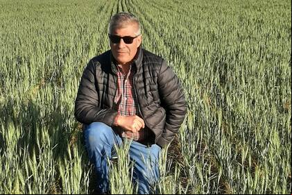 El productor Walter Malfatto en un de sus lotes sembrados: "Estamos esperando que largue algo de agua el Tata Dios pero no hay pronóstico de lluvia cerca"