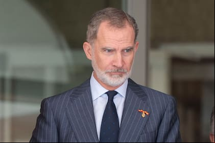 El rey de España, Felipe VI. ALBERTO ORTEGA / EUROPA PRESS