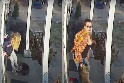 El video de la niña de 5 años que fue atacada por un mapache en Connecticut se viralizó en redes sociales