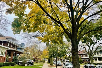 En 2022, este barrio ocupo el quinto sitio como mejor lugar para vivir en todo Estados Unidos
