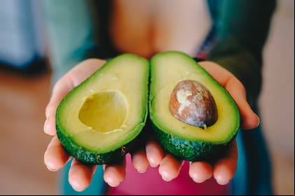 En cuestión de semanas se puede sembrar con éxito la semilla de la palta