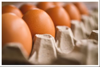 Este alimento es rico en proteínas y nutrientes esenciales