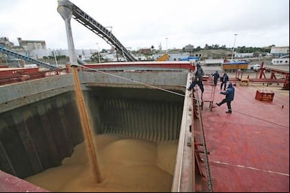 Exportación de cereales, puerto de Quequén