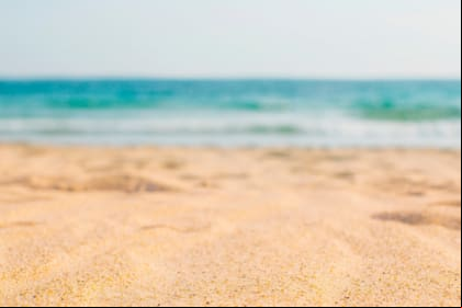Febrero es uno de los mejores meses para visitar Florida: clima agradable, menos turistas y la posibilidad de disfrutar al máximo tanto la costa como las atracciones del estado