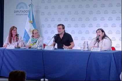 Gastón Pauls (centro) participó en uno de los es de la Jornada sobre Salud Mental y Adicciones que se realizó en el Anexo del Congreso