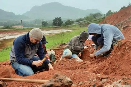Hallan un dinosaurio de más de 200 millones de años en Brasil
