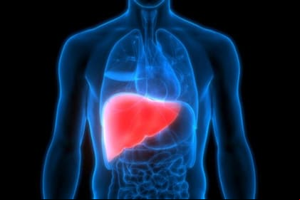Hay varios virus que afectan nuestro hígado, algunos de forma leve y otros de forma severa