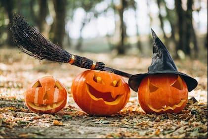 Hoy se celebra Noche de Brujas