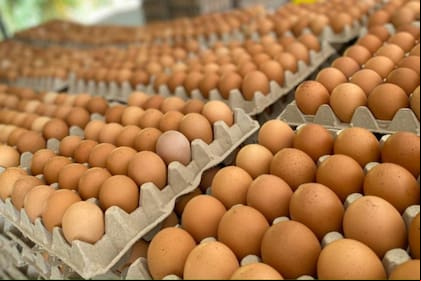 Hubo mermas en la producción que afectaron la oferta