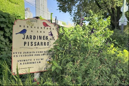 Jardines de Pissarro, el espacio verde recuperado por los vecinos de Núñez que se encuentra a un costado de las vías del tren Mitre