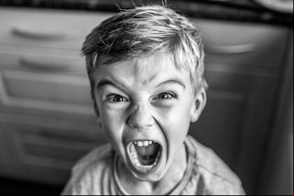 La alquimia de las emociones es el proceso de transformación que experimentan los seres humanos entendiendo todas sus emociones