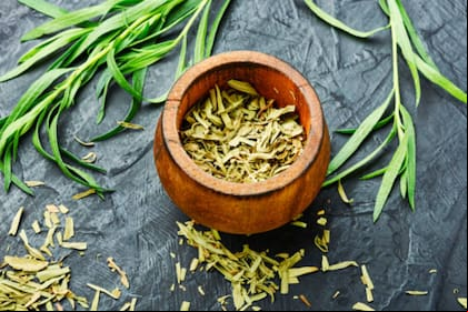 La artemisa es una de las hierbas utilizadas para preparar una infusión que morigera los malestares menstruales (Foto Pexels)