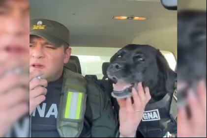 La despedida de Pequi generó mucha emoción (Captura video)