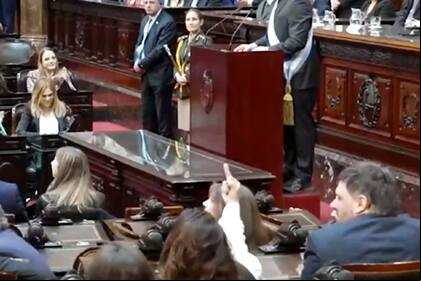 La diputada de Unión por la Patria (UxP), Sabrina Selva, le hace fuck you al presidente Javier Milei mientras habla en el Congreso