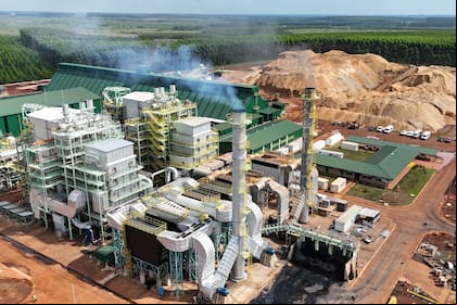 La planta de biomasa de San Alonso constituye el complejo generador por biomasa más grande de la Argentina; detrás de la planta se ve una montaña de aserrín, un desperdicio vital para producir energía