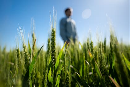 La propuesta apunta a dar soluciones para los productores