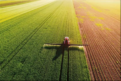 La reposición de nutrientes es fundamental para mantener la calidad de los suelos