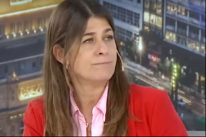 La senadora nacional del Pro y candidata a legisladora porteña, Guadalupe Tagliaferri, en LN+