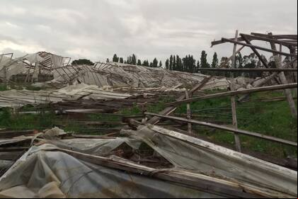 La tormenta de viento, agua y granizo arrasó con una región hortícola de Santa Fe