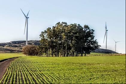 Las dimensiones pueden llegar hasta 120 metros de altura y su capacidad de producir electricidad “verde” los pone en primera fila en la ecuación energética nacional de los próximos años