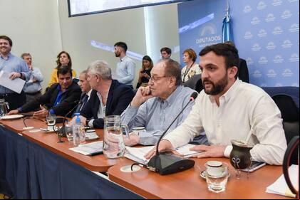 Leonardo Grosso, Carlos Heller y Ricardo Buryaile, presidentes de las comisiones de Recursos Naturales, Presupuesto y Agricultura