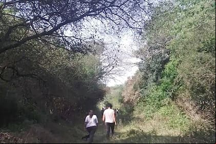 Loan fue visto por última vez el jueves 13, después de un almuerzo en la casa de su abuela paterna