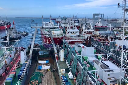 Los barcos no salieron al mar al inicio de la temporada de pesca porque irían a pérdida, pero además ahora se suma la suba de aranceles para la venta a Estados Unidos a los cuestionados derechos de exportación que impone la Argentina al sector