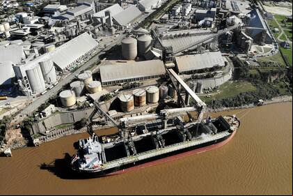Los barcos pueden cargar bastante menos cereal debido a la bajante del r‚Äôo Paran‚İ y la disminuci‚Äîn de calado en los puertos de la zona de San Lorenzo, Puerto San Mart‚Äôn y Timb‡Öìes, al norte de Rosario, lo que obliga a que el lecho del r‚Äôo deba ser dragado continuamente para que los buques puedan circular